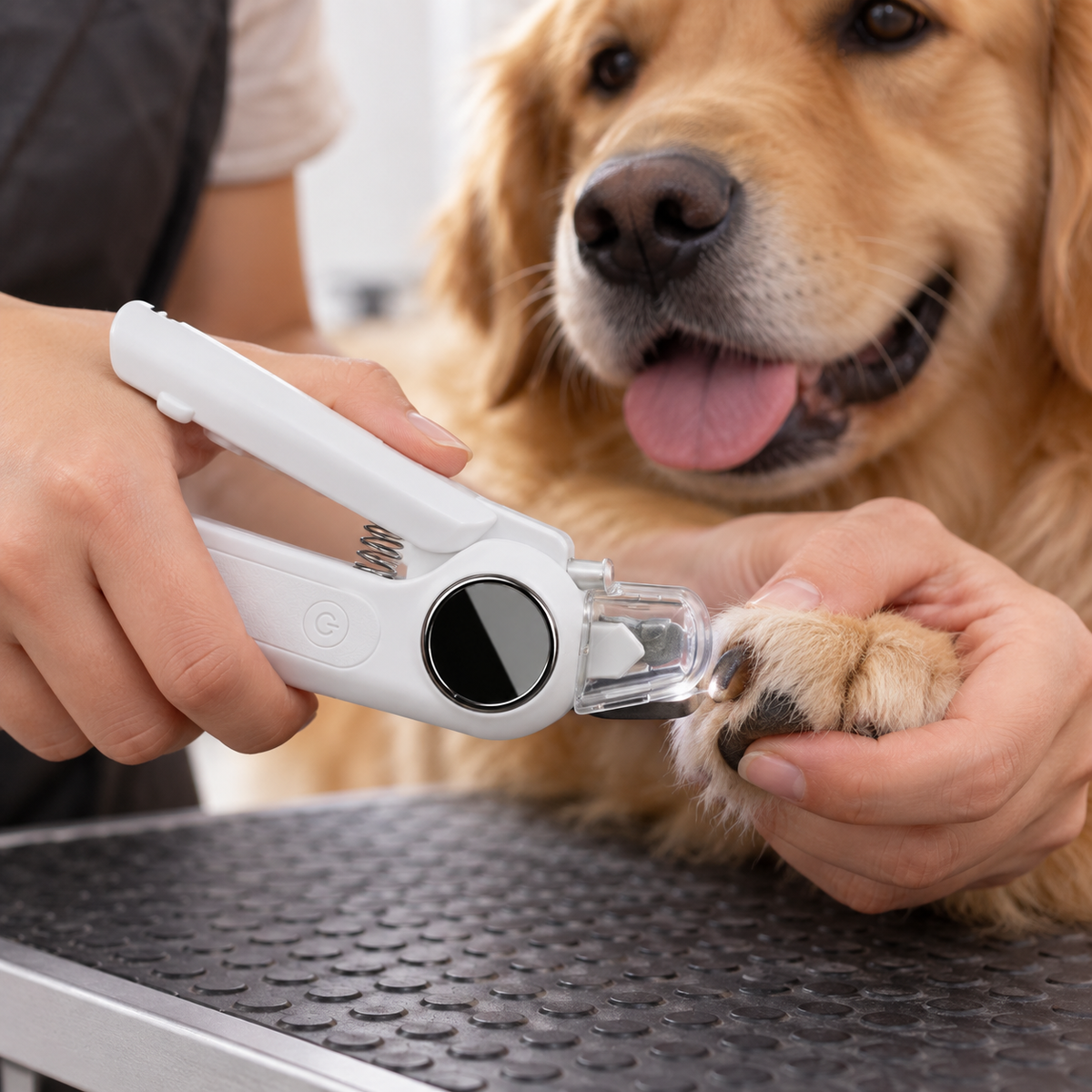 🐾 Pet Nail Care | Stainless Steel Grooming Tool | Home Spa Routine | Gift For Pet Parents | Dual Trim Design